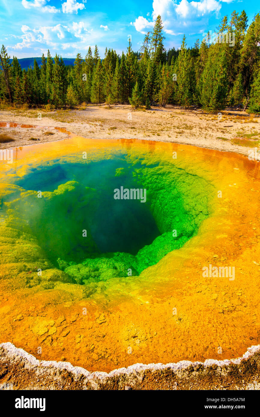 Morning Glory Pool, Yellowstone National Park, Upper Geyser basin, Wyoming Banque D'Images