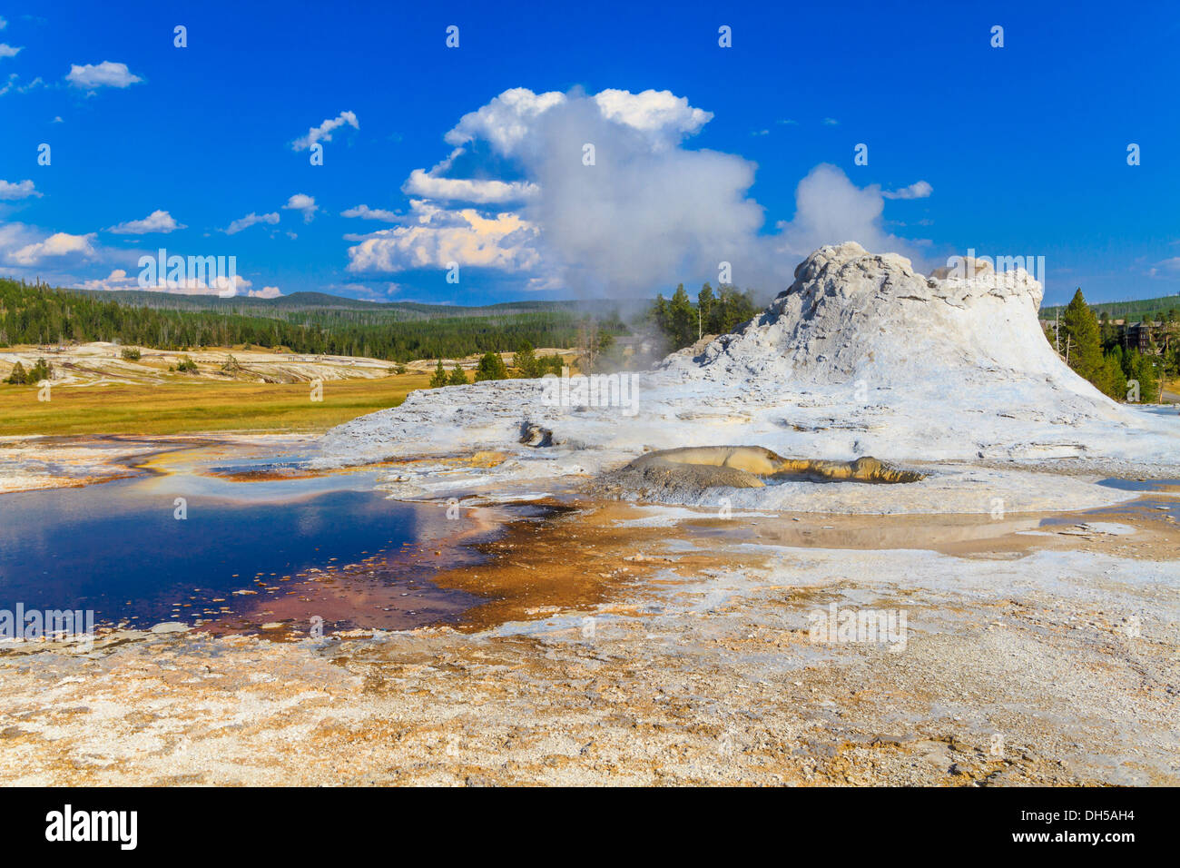 Castle geyser, le Parc National de Yellowstone (Upper Geyser basin, Wyoming) Banque D'Images