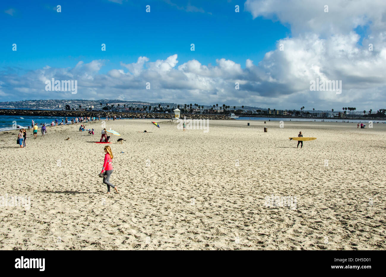 Dog Beach. San Diego, Californie, États-Unis. Dog Beach est situé à l'extrémité nord de la plage de l'océan. Banque D'Images