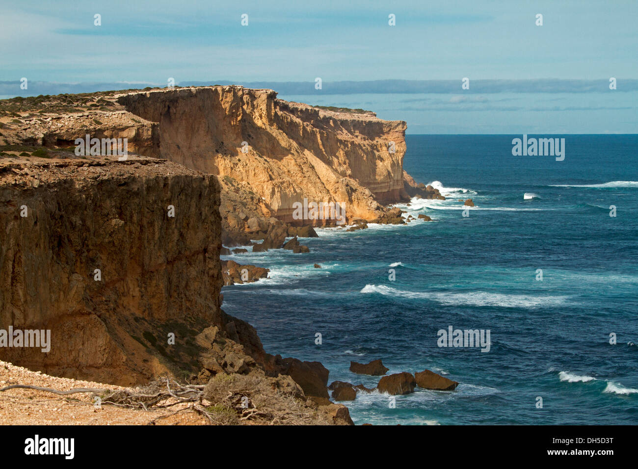 Hautes falaises et des eaux bleu turquoise de l'océan du sud, près de Point Labatt colonie de phoques sur la péninsule d'Eyre en Australie-Méridionale Banque D'Images