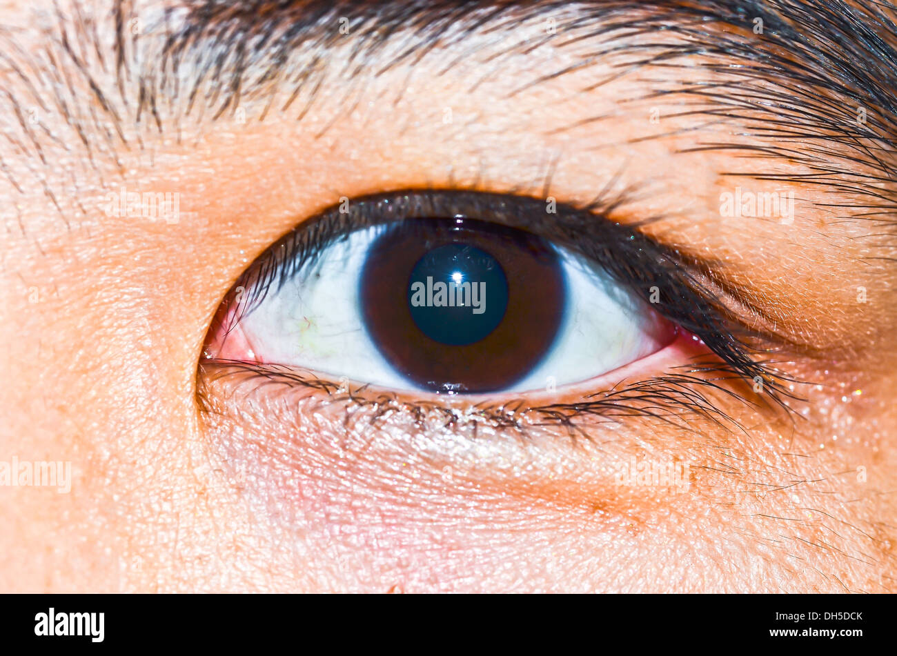 Belle femme les yeux bruns Banque D'Images