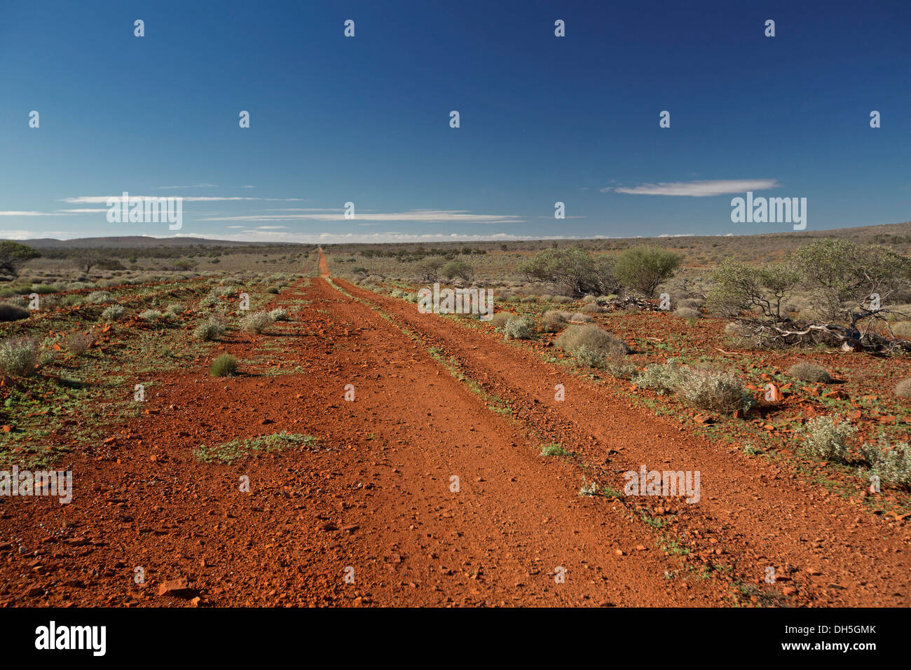 Outback australien avec paysage rouge longue route menant à travers les vastes plaines avec une faible végétation vert olive à horizon lointain dans le nord de l'Aust. Banque D'Images