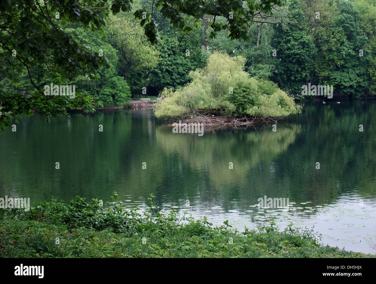 Détail d'un lac idyllique à Duesseldorf, Allemagne Banque D'Images