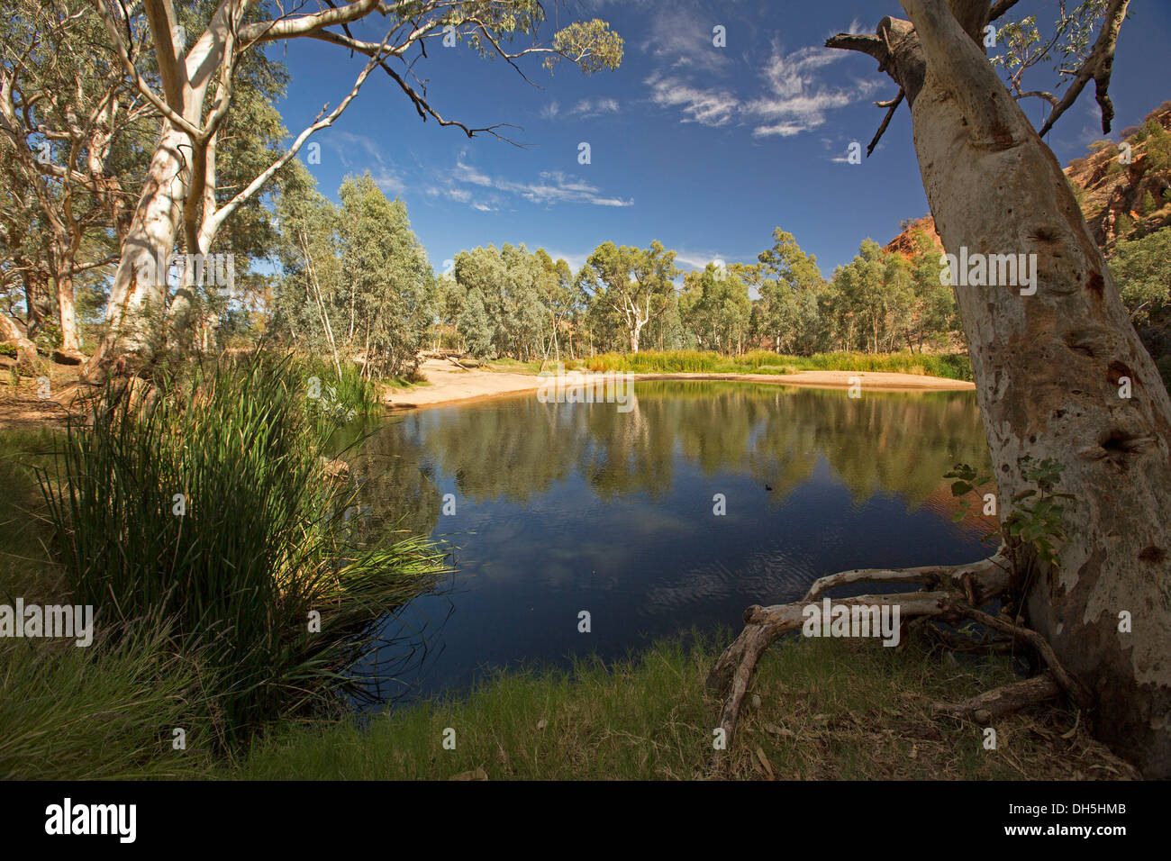 Paysage pittoresque outback avec blue pool / oasis à Ellery Creek Big Hole dans West MacDonnell Ranges près d'Alice Springs NT Banque D'Images