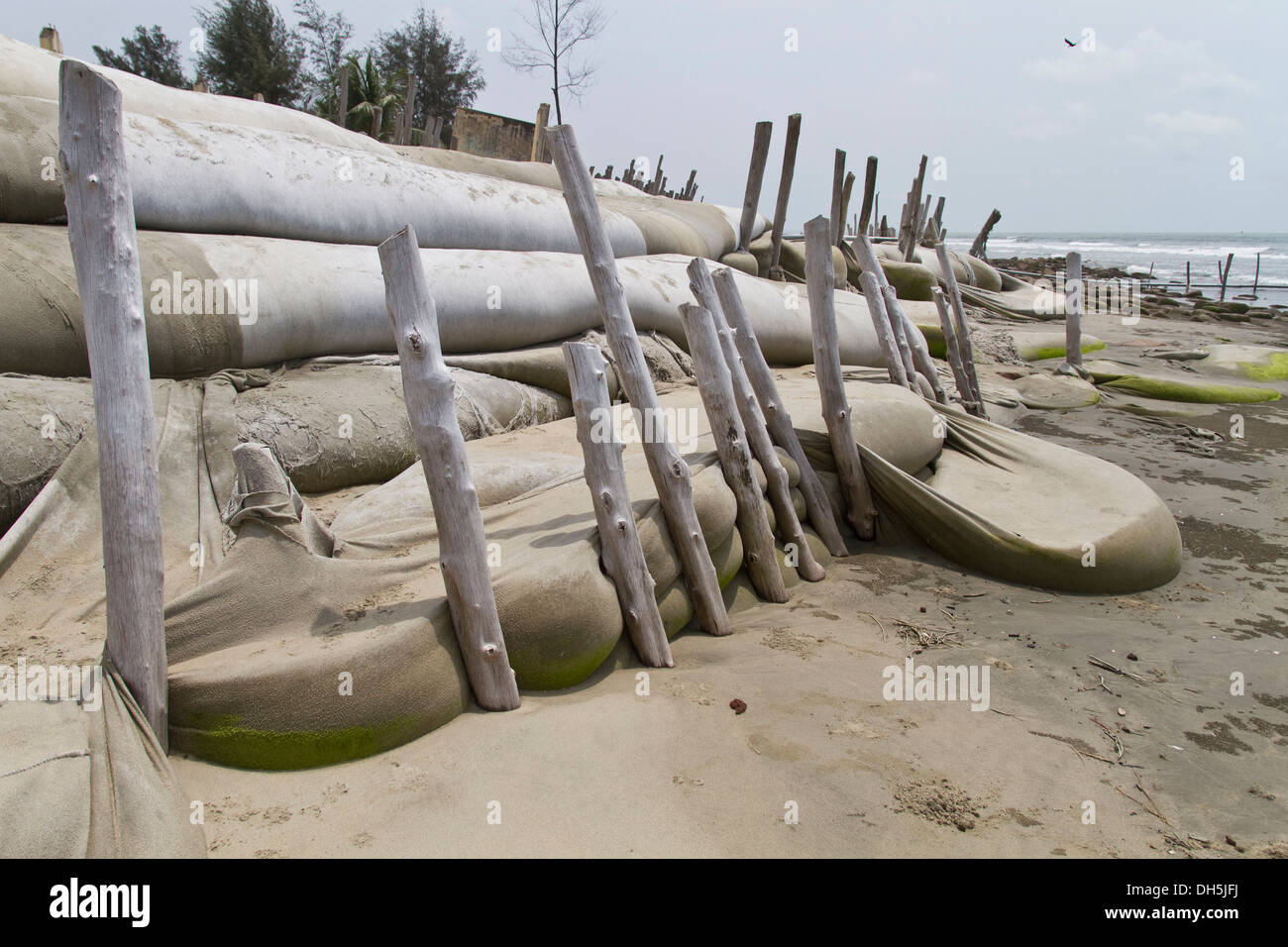 Des sacs de protection côtière temporaire, Cox's Bazar, au Bangladesh, en Asie du Sud Banque D'Images