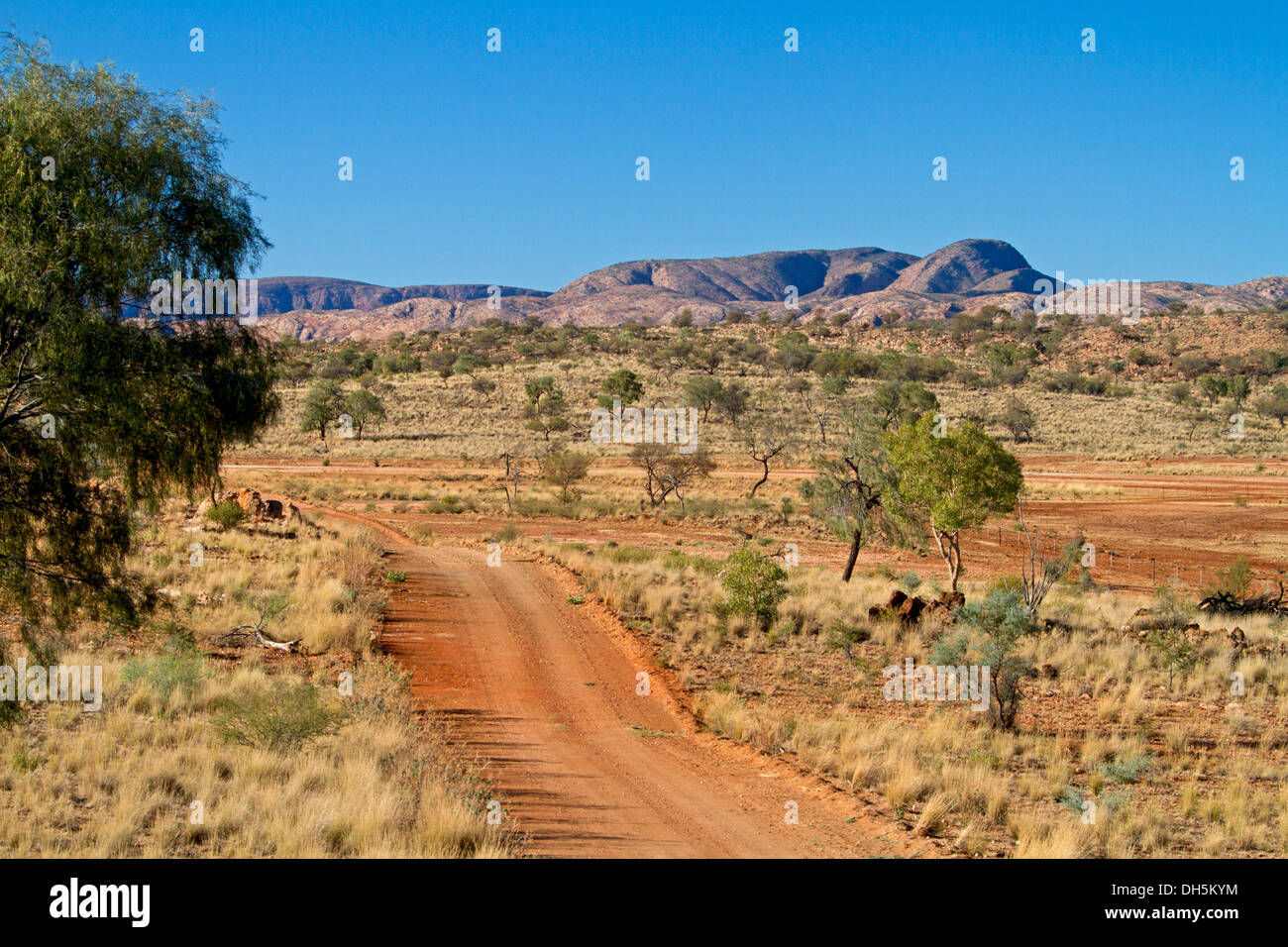 Paysage de l'Outback avec red route sinueuse à travers plaines à East MacDonnell Ranges et le ciel bleu à l'horizon près d'Alice Springs NT Banque D'Images