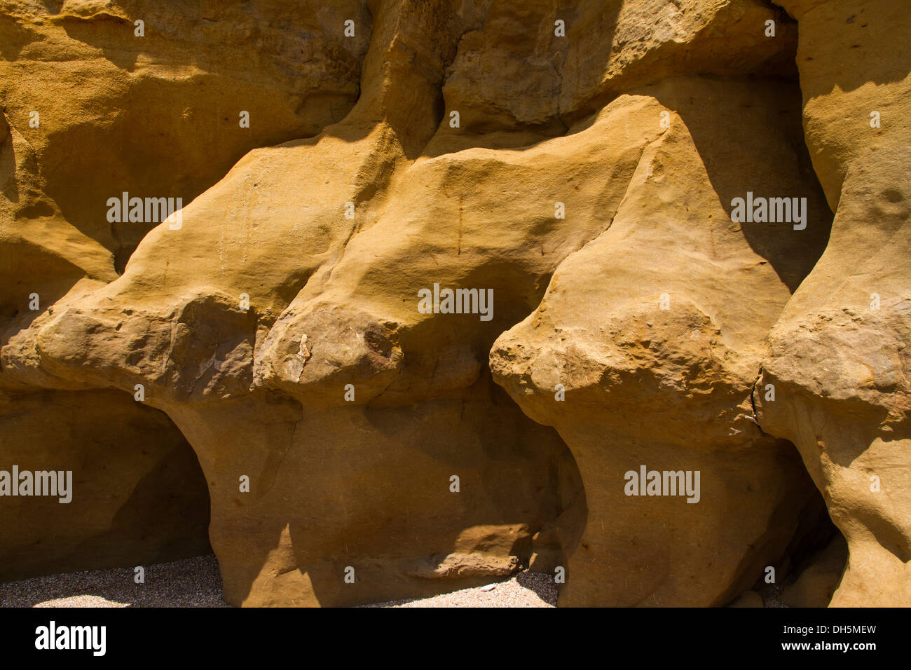 Détail de la plage falaises de grès du HIVE, Burton Bradstock, Bridport, Dorset, Angleterre, Royaume-Uni. Banque D'Images