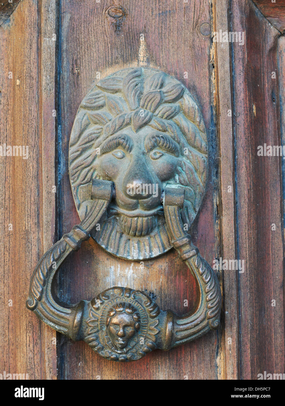 Lions Head heurtoir sur une porte en chêne Banque D'Images