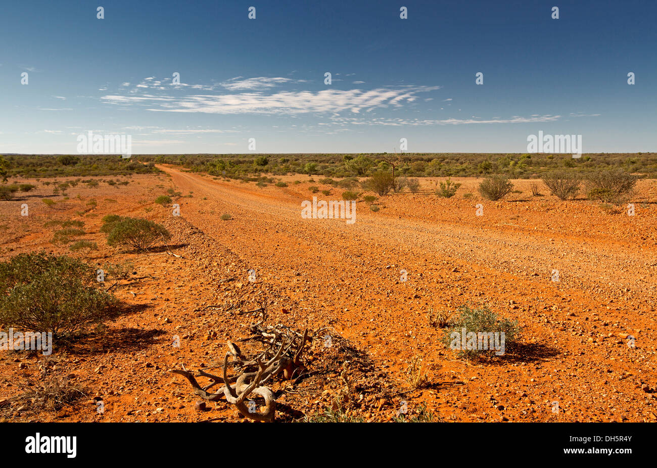 Paysage avec chemin de terre rouge longue / Hugh River Route stock , au-delà des plaines déboisées outback aride dans le centre de l'Australie à horizon lointain Banque D'Images
