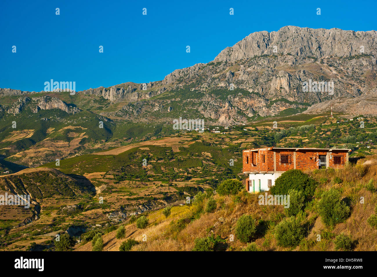Paysage de montagne typique avec maison, petits champs et d'oliviers dans le Rif ou un riff montagnes, le nord du Maroc, Maroc Banque D'Images