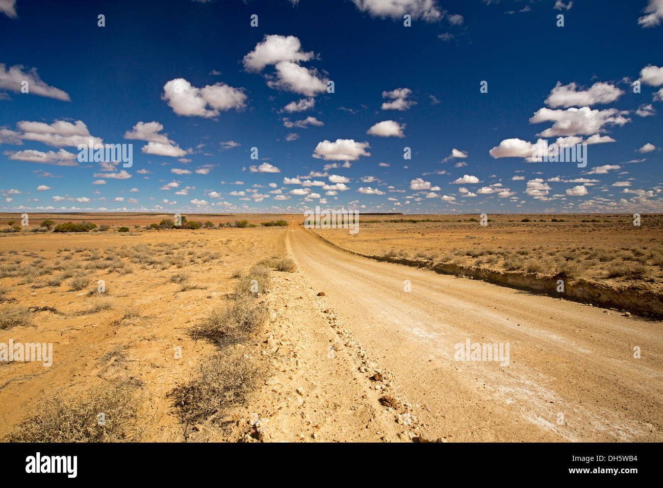 Paysage avec long chemin de terre qui s'étend sur de vastes plaines de l'outback australien près du lac Eyre dans le nord de l'Australie du Sud Banque D'Images