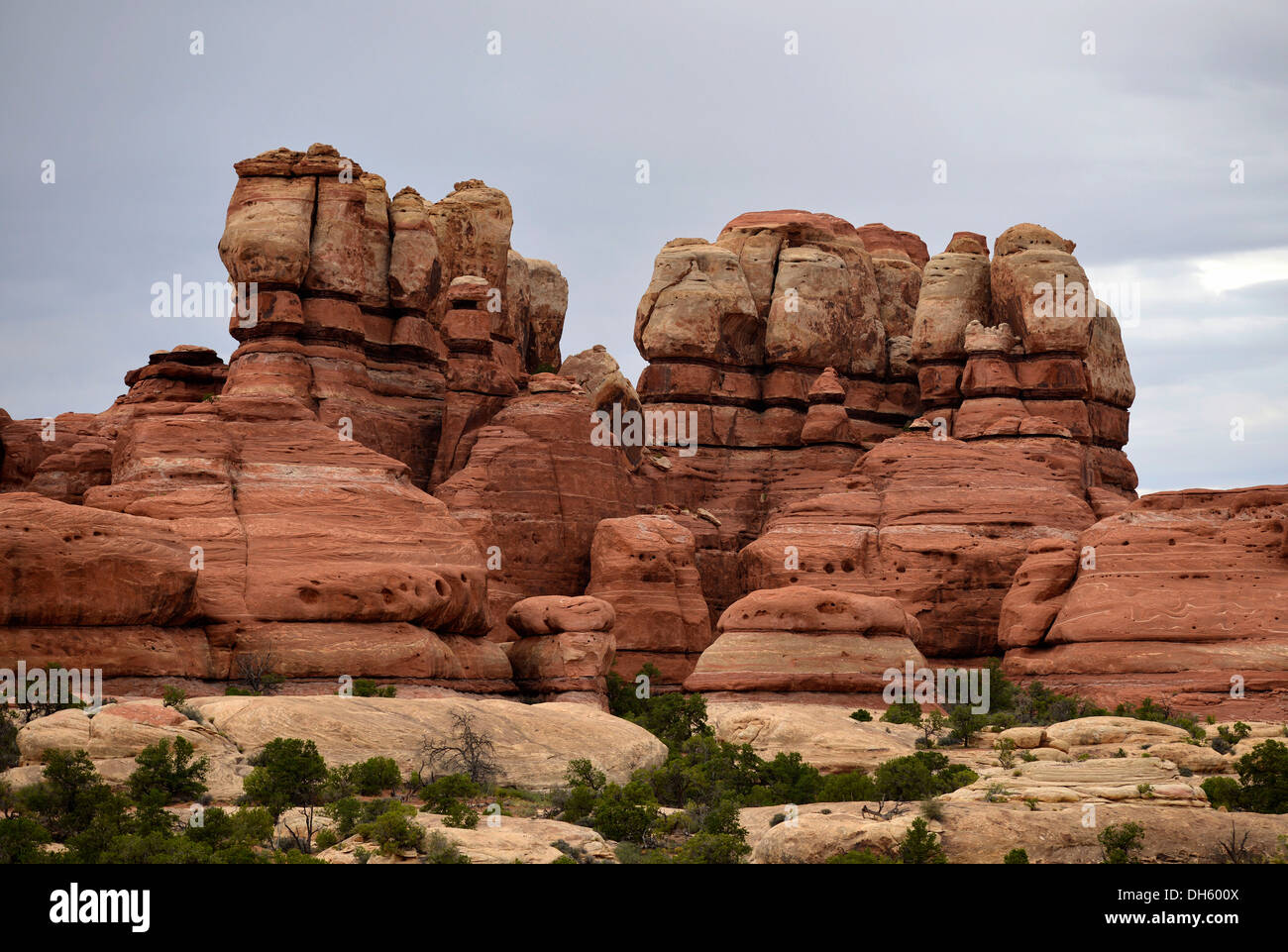 Elephant Hill rock formation, les aiguilles, District Canyonlands National Park, Utah, United States of America, USA Banque D'Images
