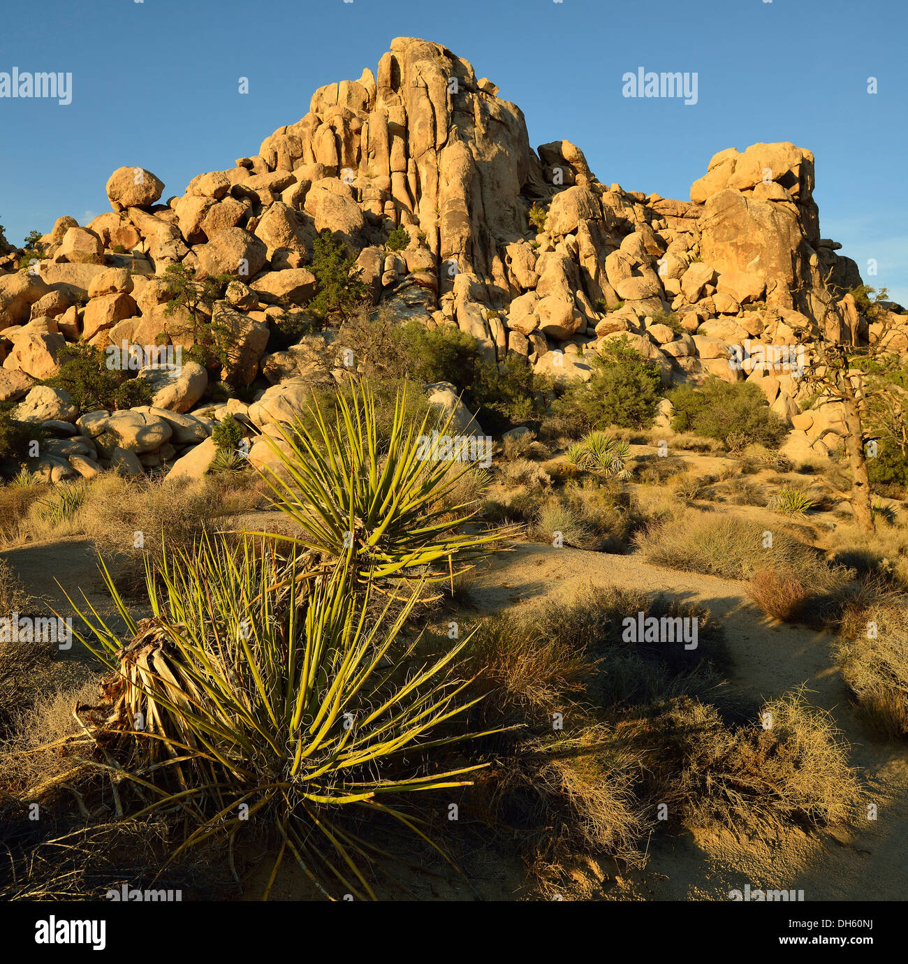 La grande Burrito, une formation rocheuse monzogranite, Hidden Valley, le parc national Joshua Tree, désert de Mojave, en Californie, au sud-ouest Banque D'Images