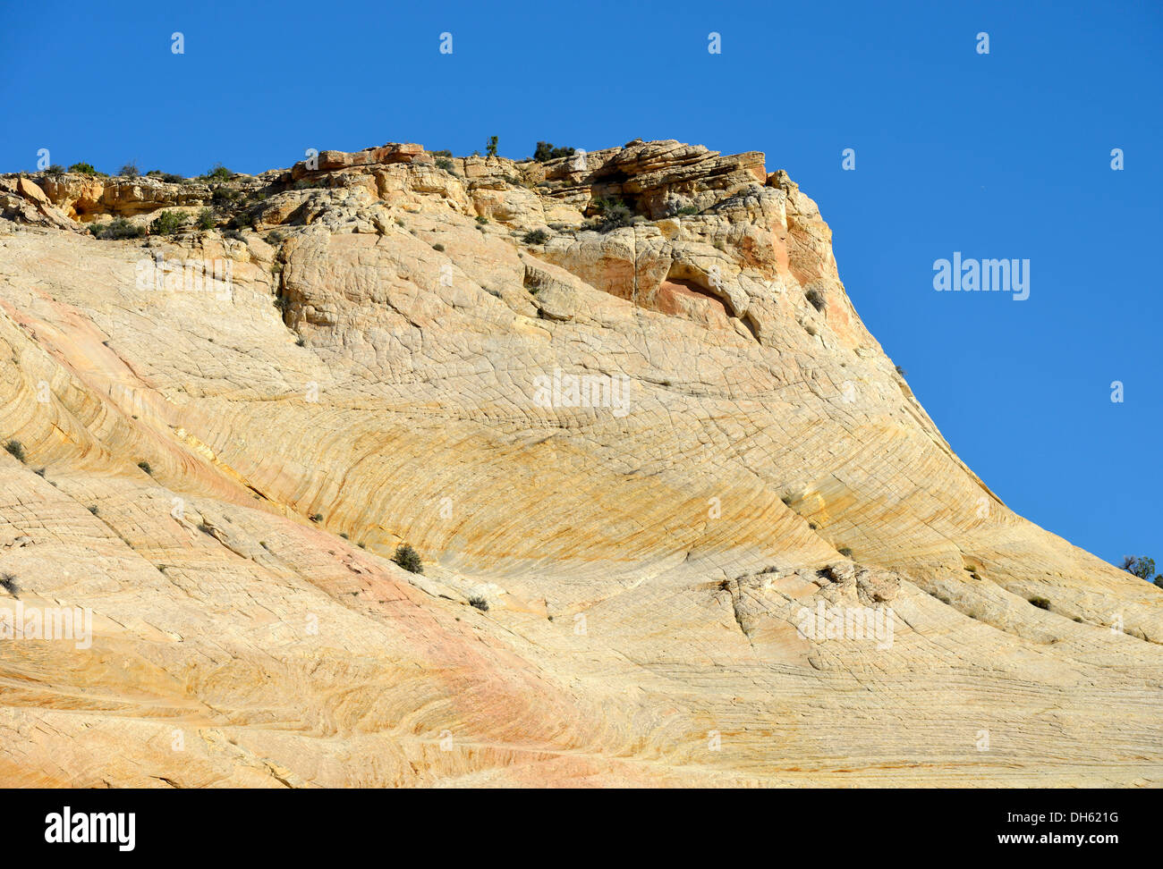 La 'Devil's backbone', Grand Staircase-Escalante National Monument, GSENM, Utah, USA, USA, sud-ouest PublicGround Banque D'Images