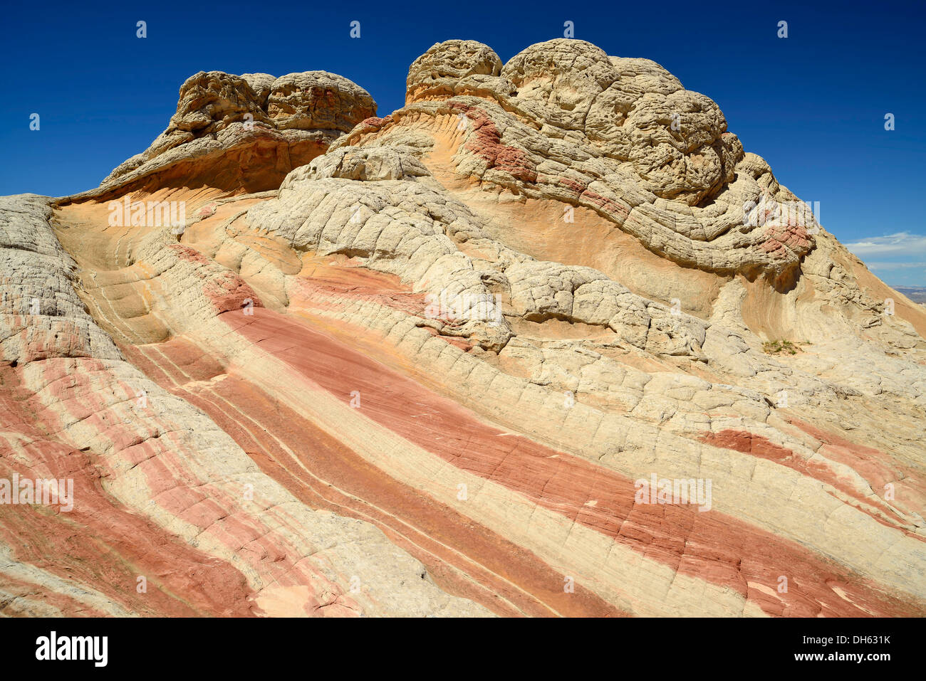 Les roches du cerveau à White Pocket, érodés des rochers de grès Navajo avec bandes ou anneaux de Liesegang Liesegang, Pareah Paria Plateau, Banque D'Images