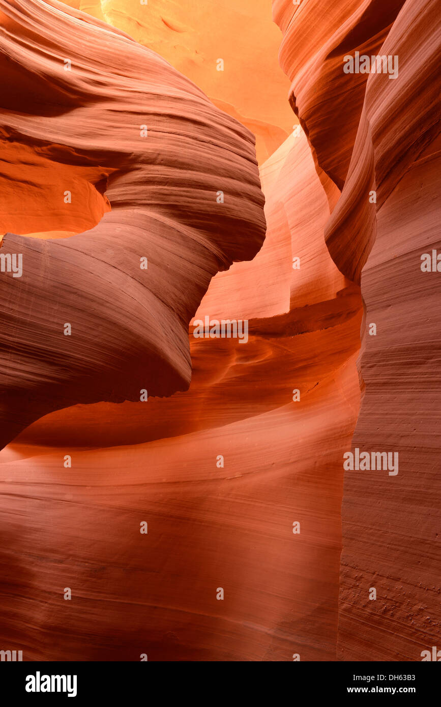 Dame dans le vent rock formation, le grès rouge de la Formation de Moenkopi, des couleurs et des motifs, Lower Antelope Canyon fente Banque D'Images