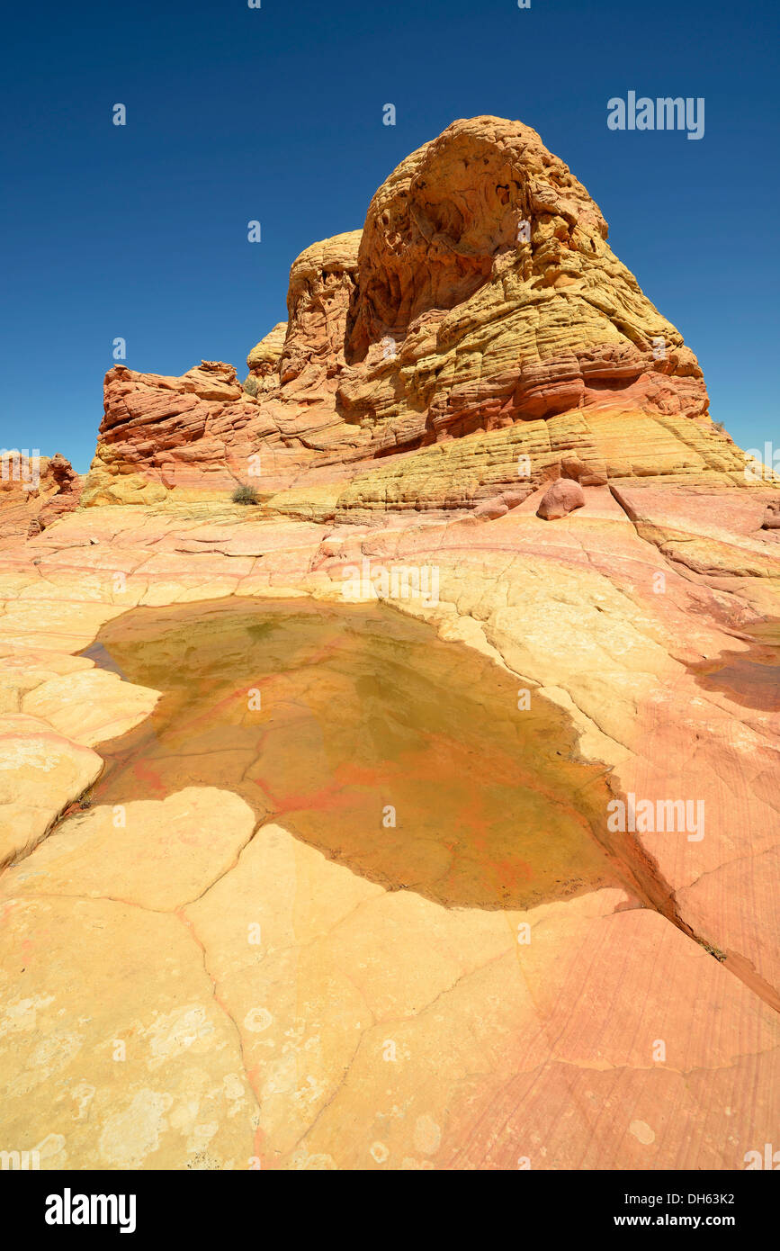 Les roches du cerveau du Coyote Buttes South, CBS, Cottonwood tipis, érodé les roches de grès Navajo avec bandes de Liesegang Liesegang ou Banque D'Images