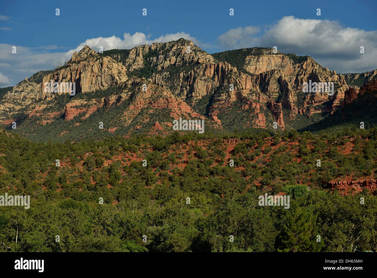 Red Rocks, Oak Creek Canyon, Arizona Sedona, au sud-ouest, États-Unis d'Amérique, USA Banque D'Images