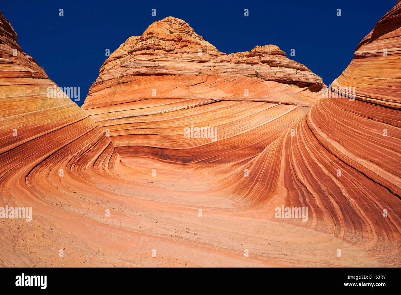 La vague, des rochers de grès Navajo érodé avec bandes ou anneaux de Liesegang Liesegang, North Coyote Buttes, CBN, Pareah Paria Banque D'Images