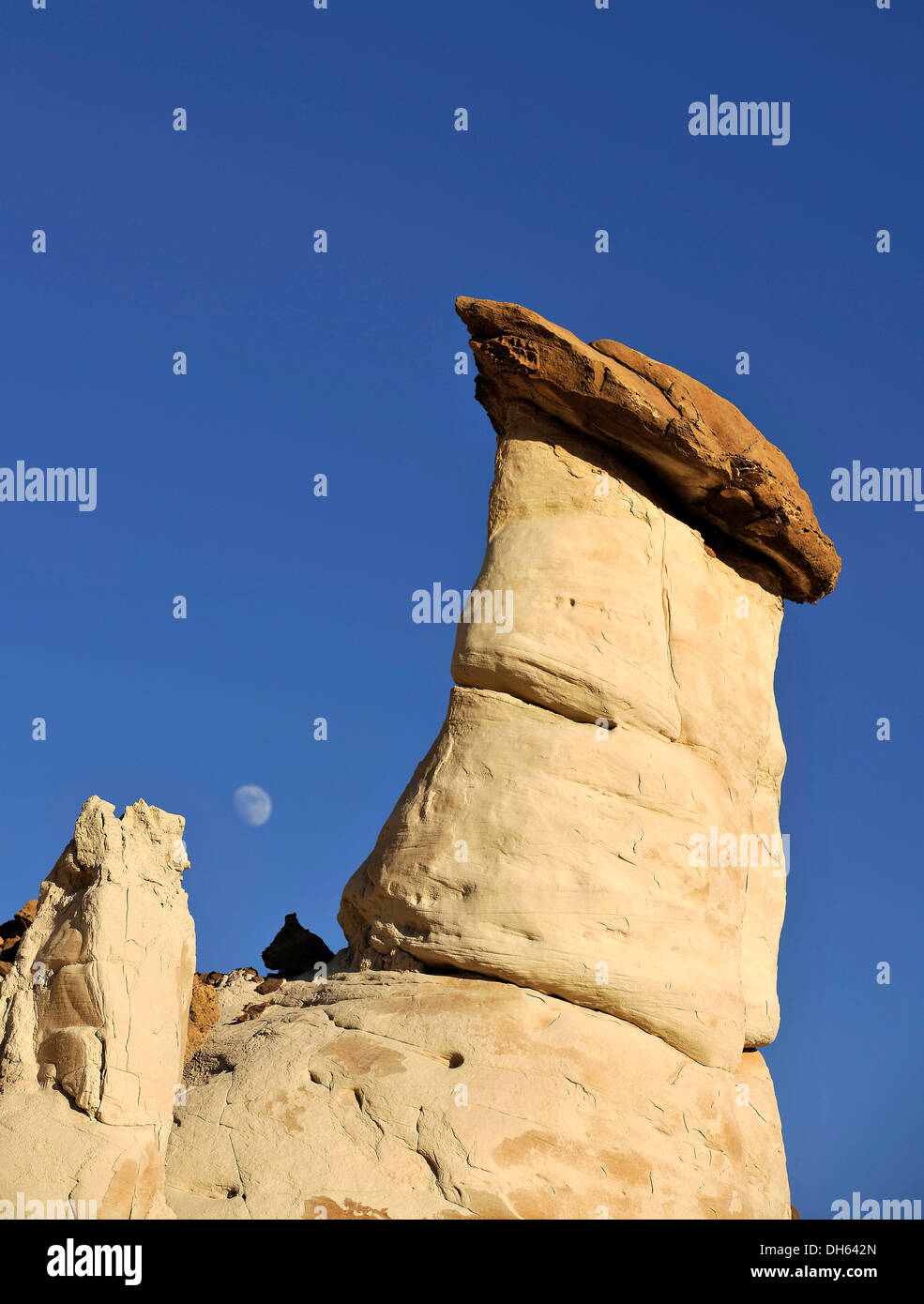 Hoodoos blancs, Toadstool Hoodoos, lune, Rimrocks, Grand Staircase-Escalante National Monument, GSENM, Utah, USA Banque D'Images