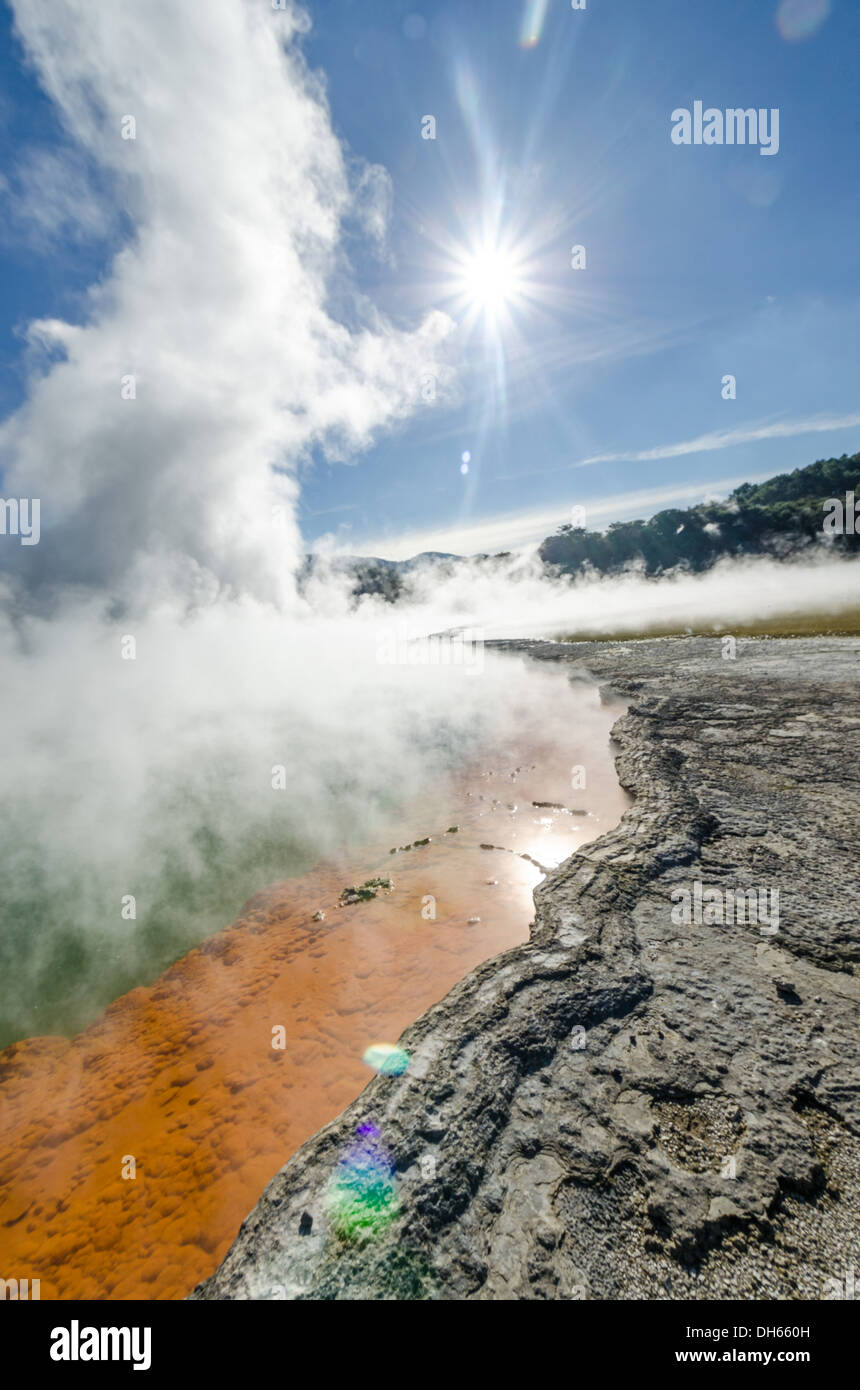Piscine Champagne au wai-o-tapu wonderland géothermique, en Nouvelle-Zélande. Sources chaudes naturellement colorés Banque D'Images