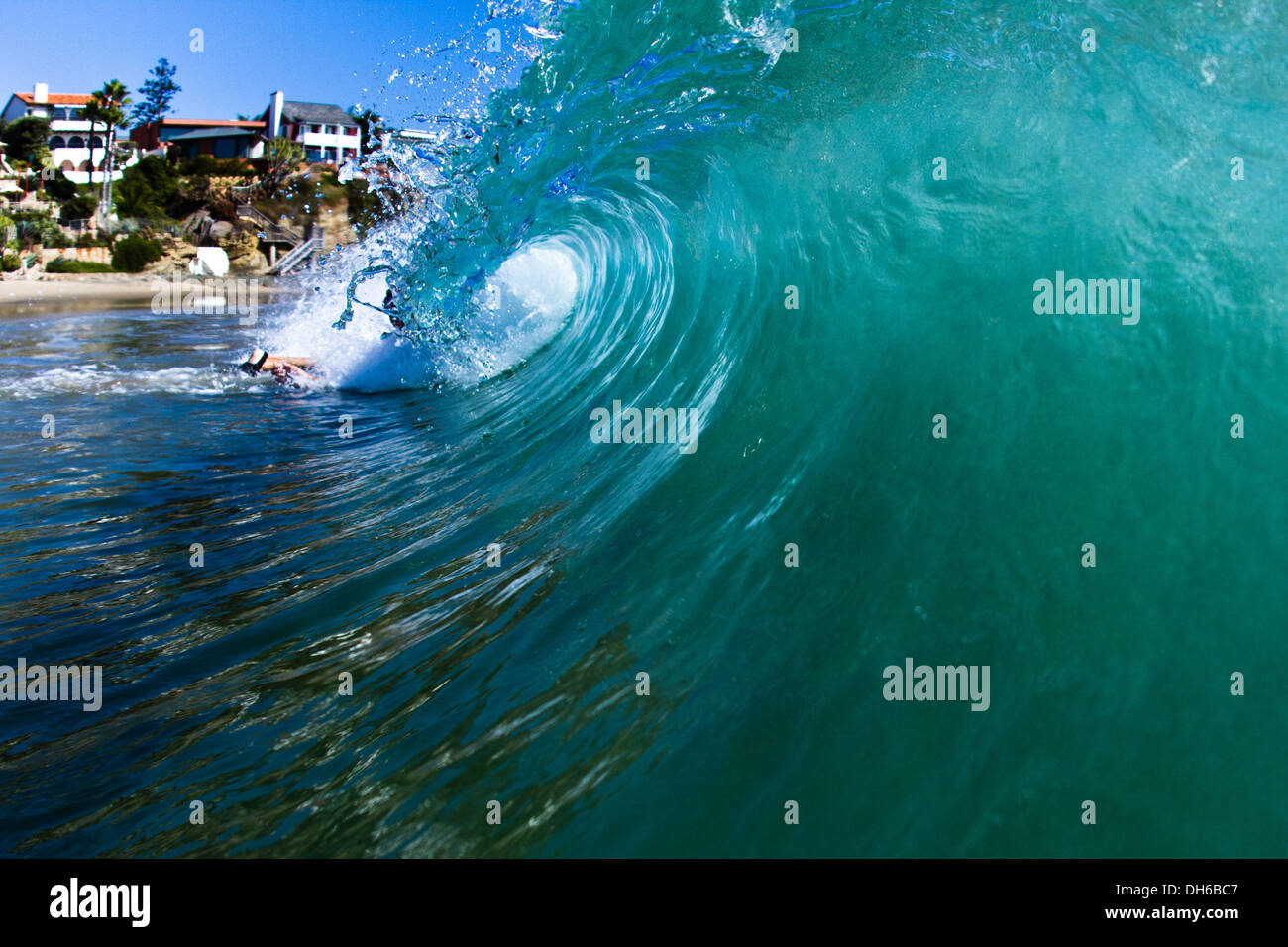 Belle dans l'eau vague, baril, Surf art, océan pacifique, en Californie. Banque D'Images