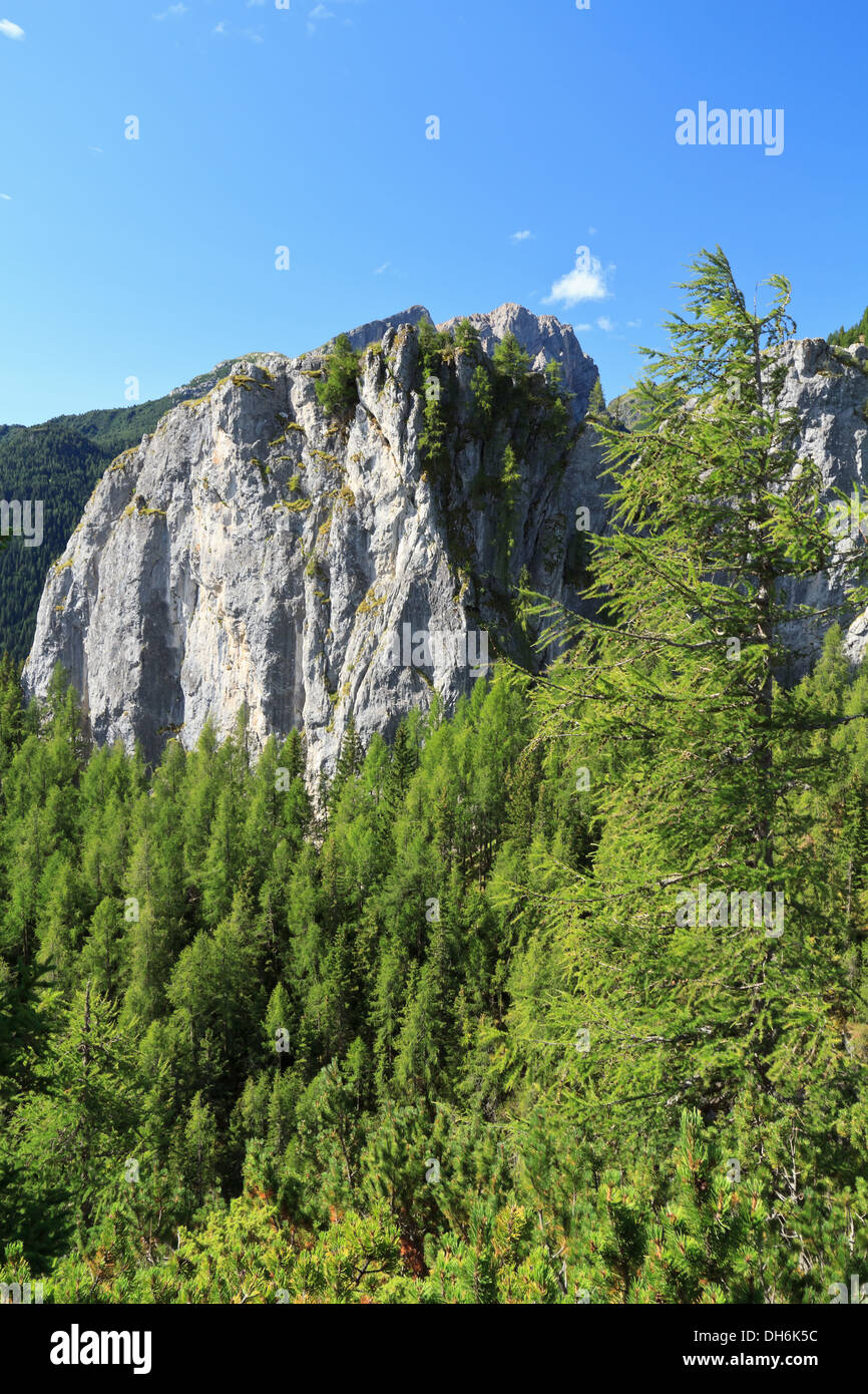 La dolomite monolith sur forêt de mélèzes en Laste, Veneto, Italie Banque D'Images
