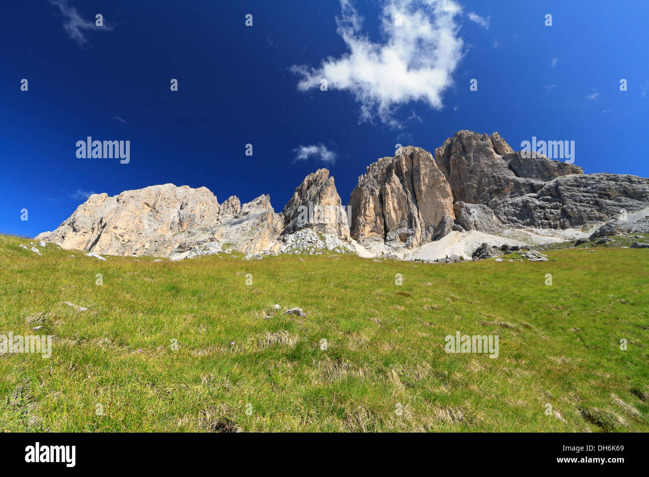 Vue d'été de mont Sassolungo et Sassopiatto, Vallée de Fassa, Trentin, Italie Banque D'Images