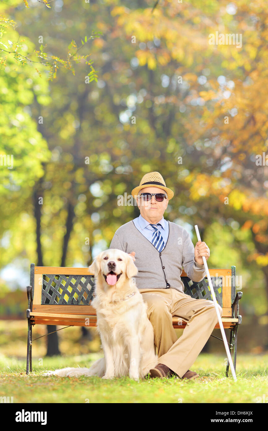 Hauts homme aveugle assis sur un banc avec son labrador retriever dog, dans un parc Banque D'Images
