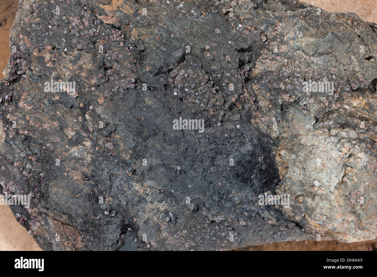 Échantillon de minerai de schiste vert rock, noir et vert, violet et chlorite show sont mauve grenats, projet d'exploration minière de l'or Banque D'Images