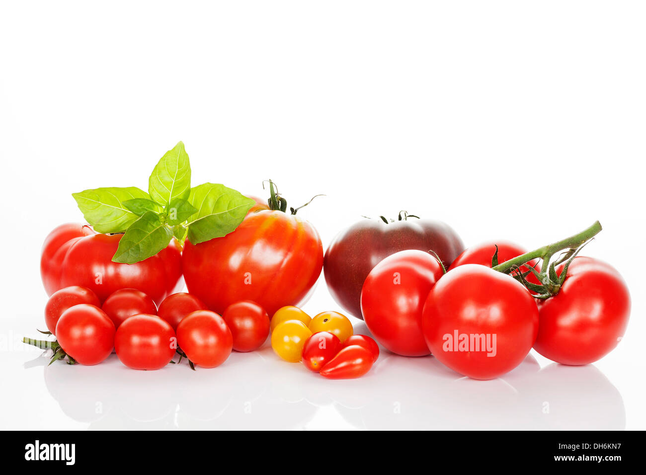Les tomates et basilic isolé sur blanc en studio Banque D'Images