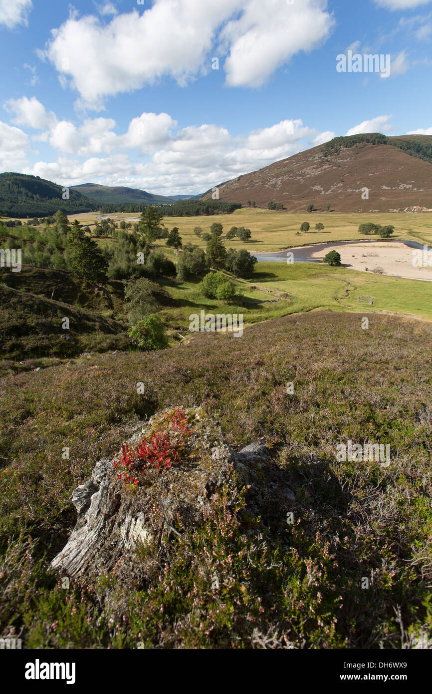 Domaine de Braemar, l'Écosse. Vue panoramique sur la rivière Dee et Mar Lodge Estate. Banque D'Images