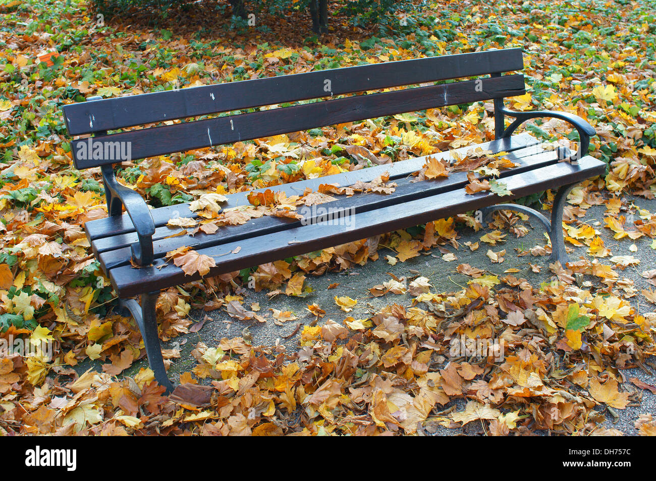 Seul banc de parc en automne les feuilles tombées Banque D'Images