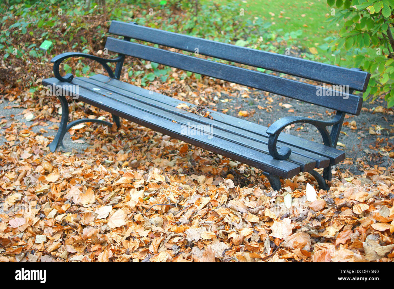 Seul banc de parc en automne les feuilles tombées Banque D'Images