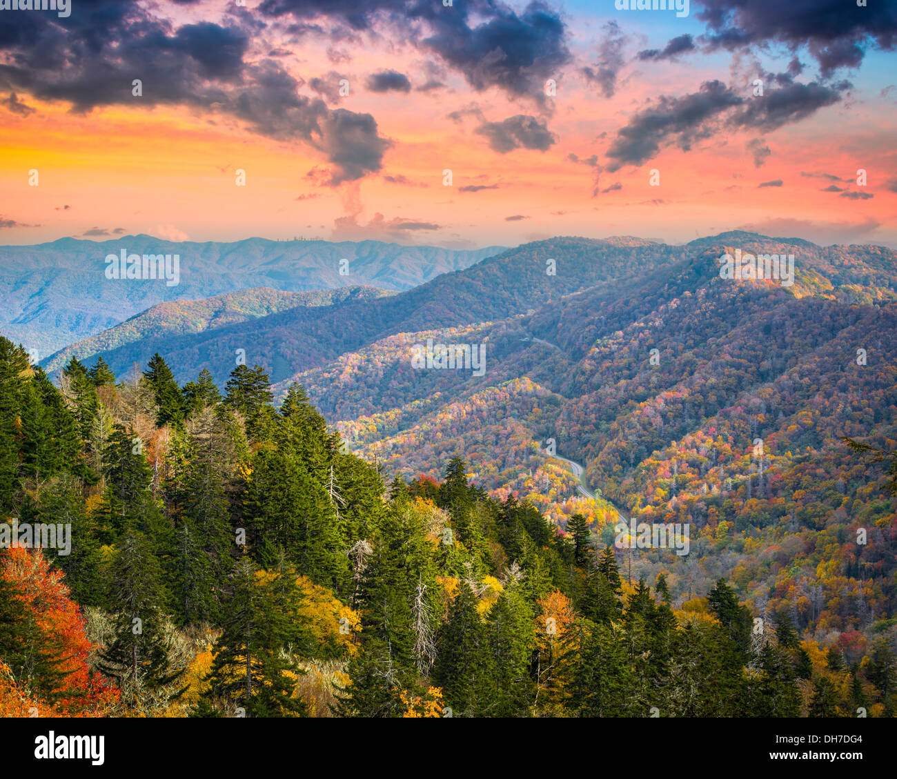 Matin d'automne dans les Smoky Mountains National Park. Banque D'Images