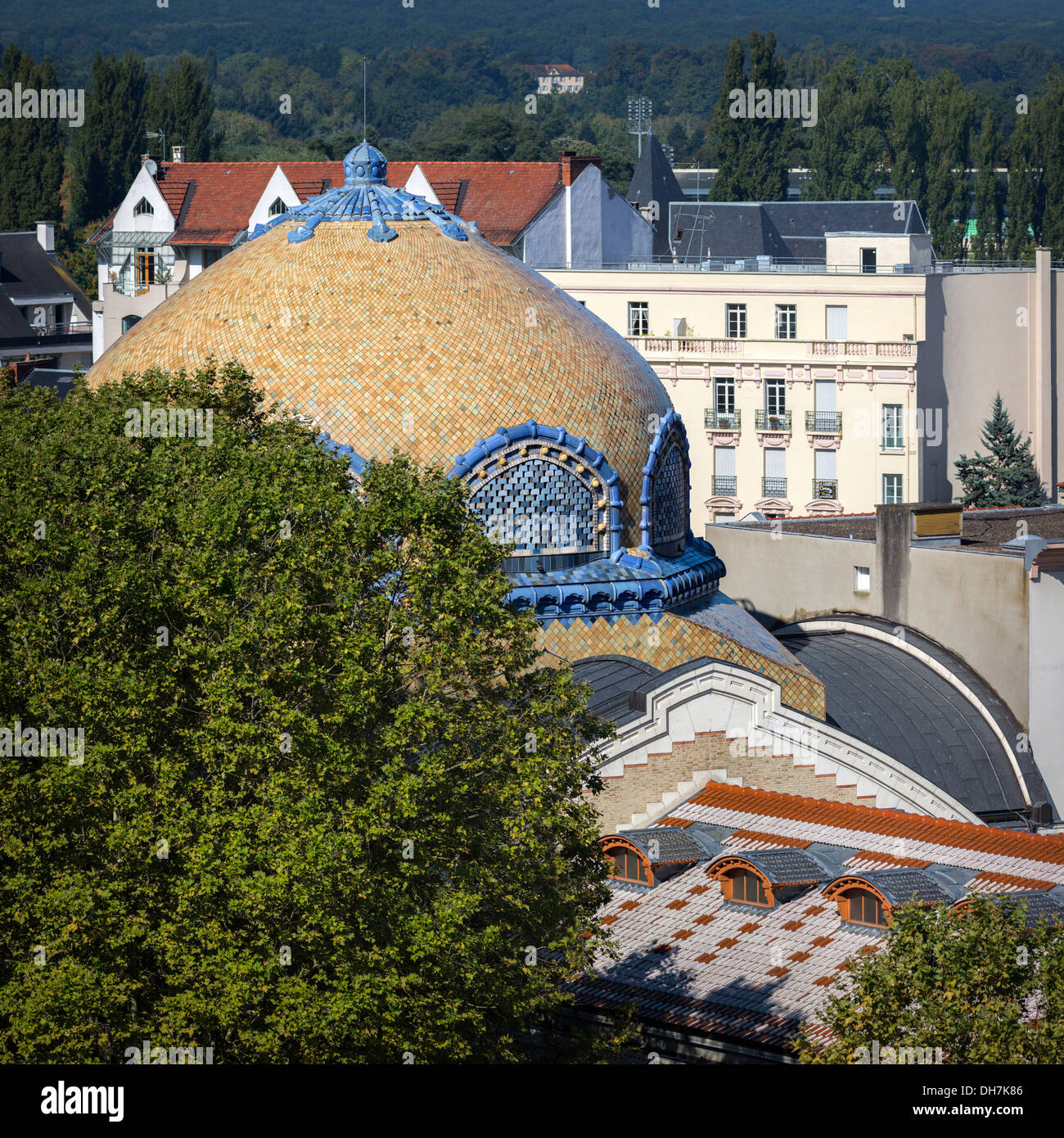 Platane De Toit Banque De Photographies Et D images Haute R solution Platane De Toit Banque De Photographies Et D images Haute R solution