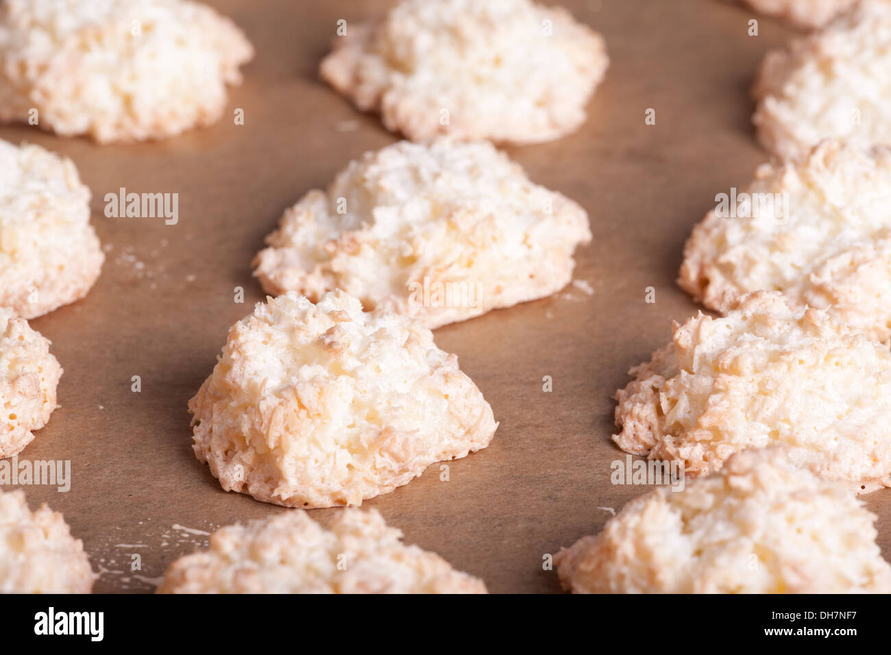 Cookies coco cuits sur du papier sulfurisé Banque D'Images