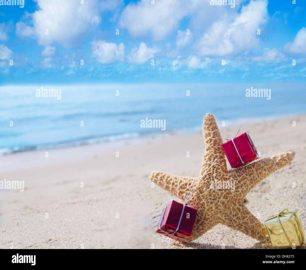 Les étoiles de mer avec peu de cadeau de Noël fort sur la plage de sable à l'océan Banque D'Images