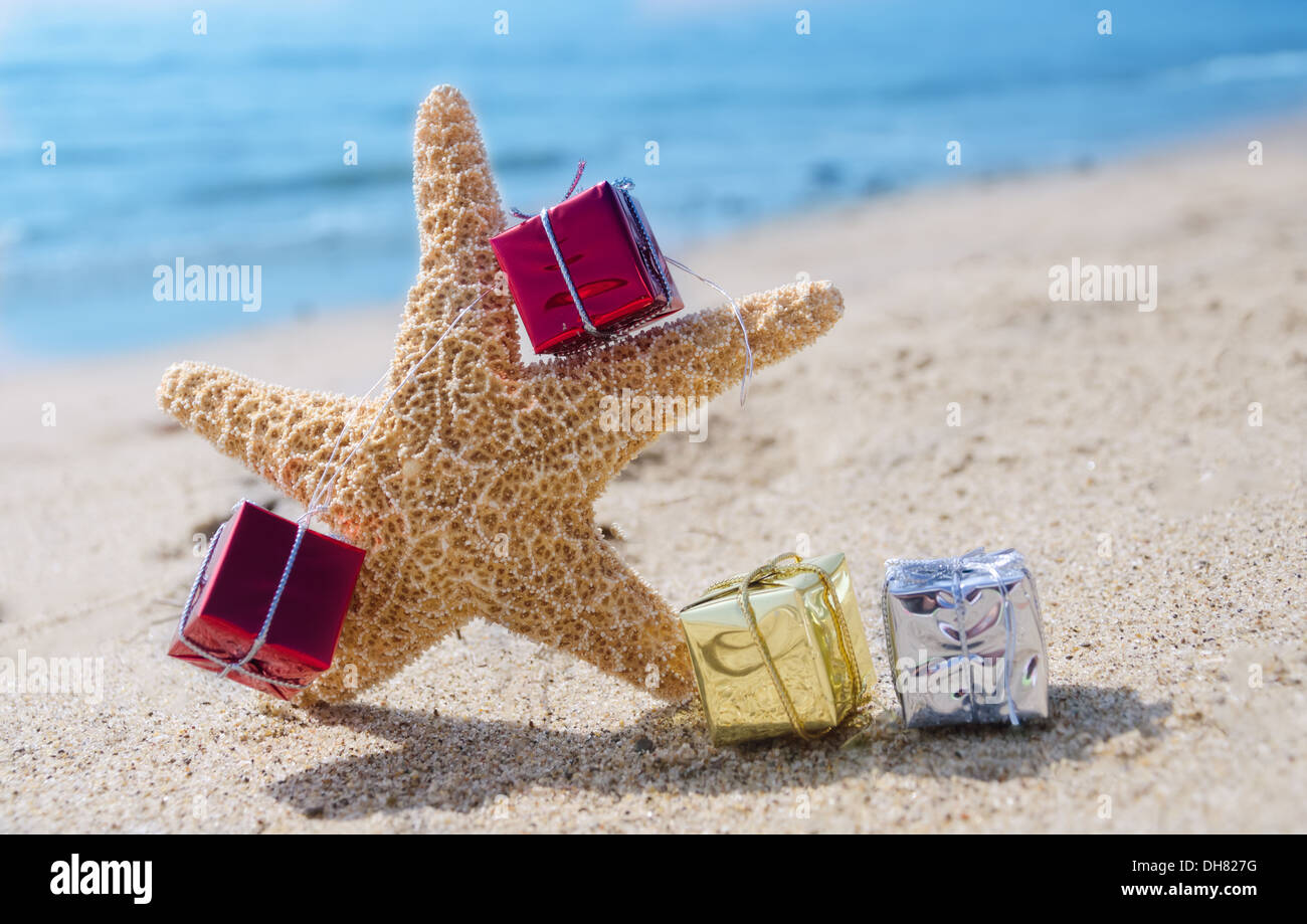 Les étoiles de mer avec peu de cadeau de Noël fort sur la plage de sable à  l'océan Photo Stock - Alamy