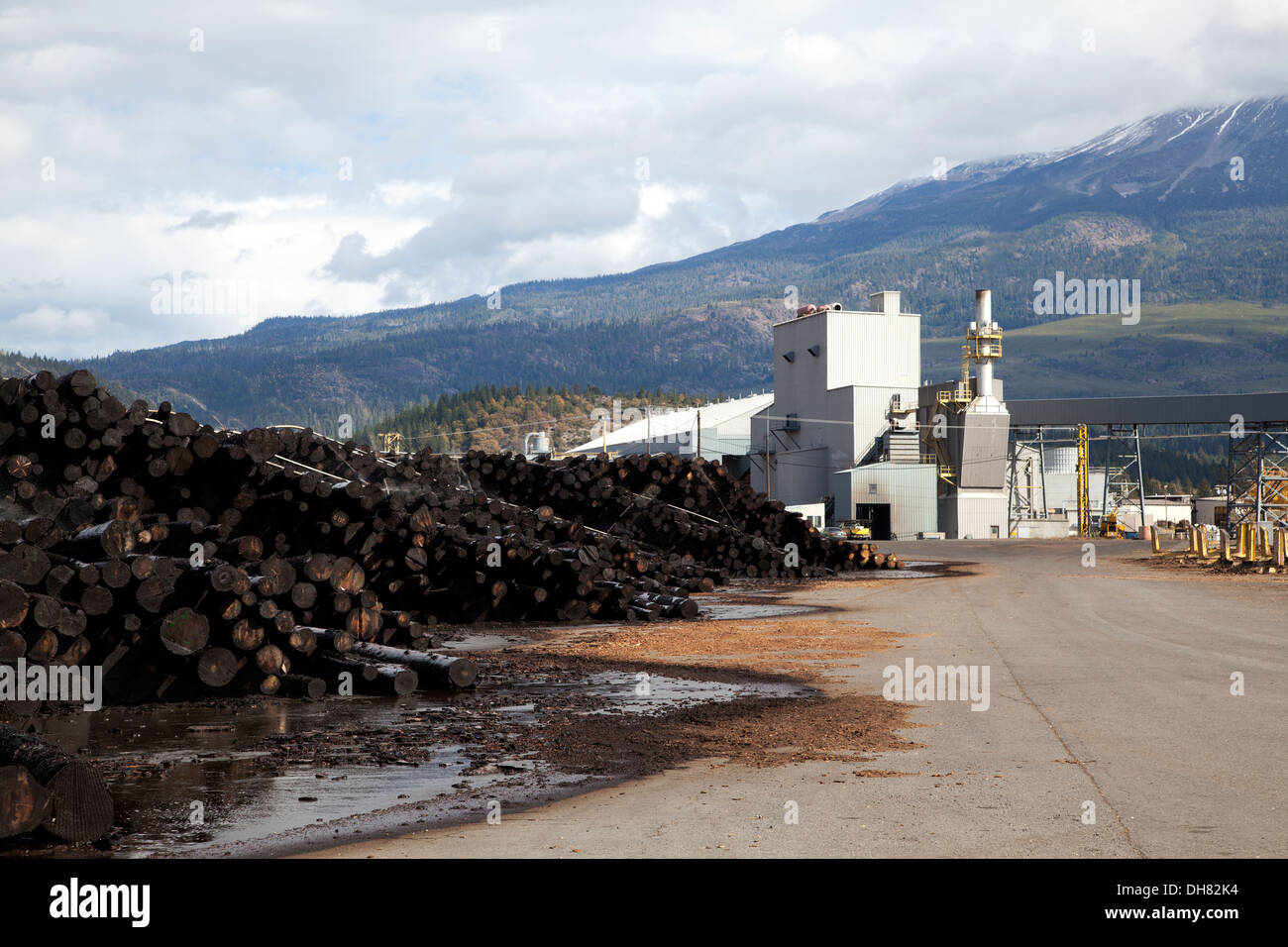 Scierie dans le Nord de la Californie, 2013. Banque D'Images