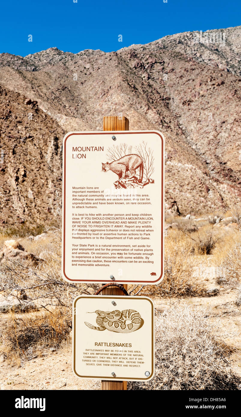 La Californie, San Diego County, Anza-Borrego Desert State Park, Borrego Palm Canyon Trail, mountain lion rattlesnake warning sign Banque D'Images