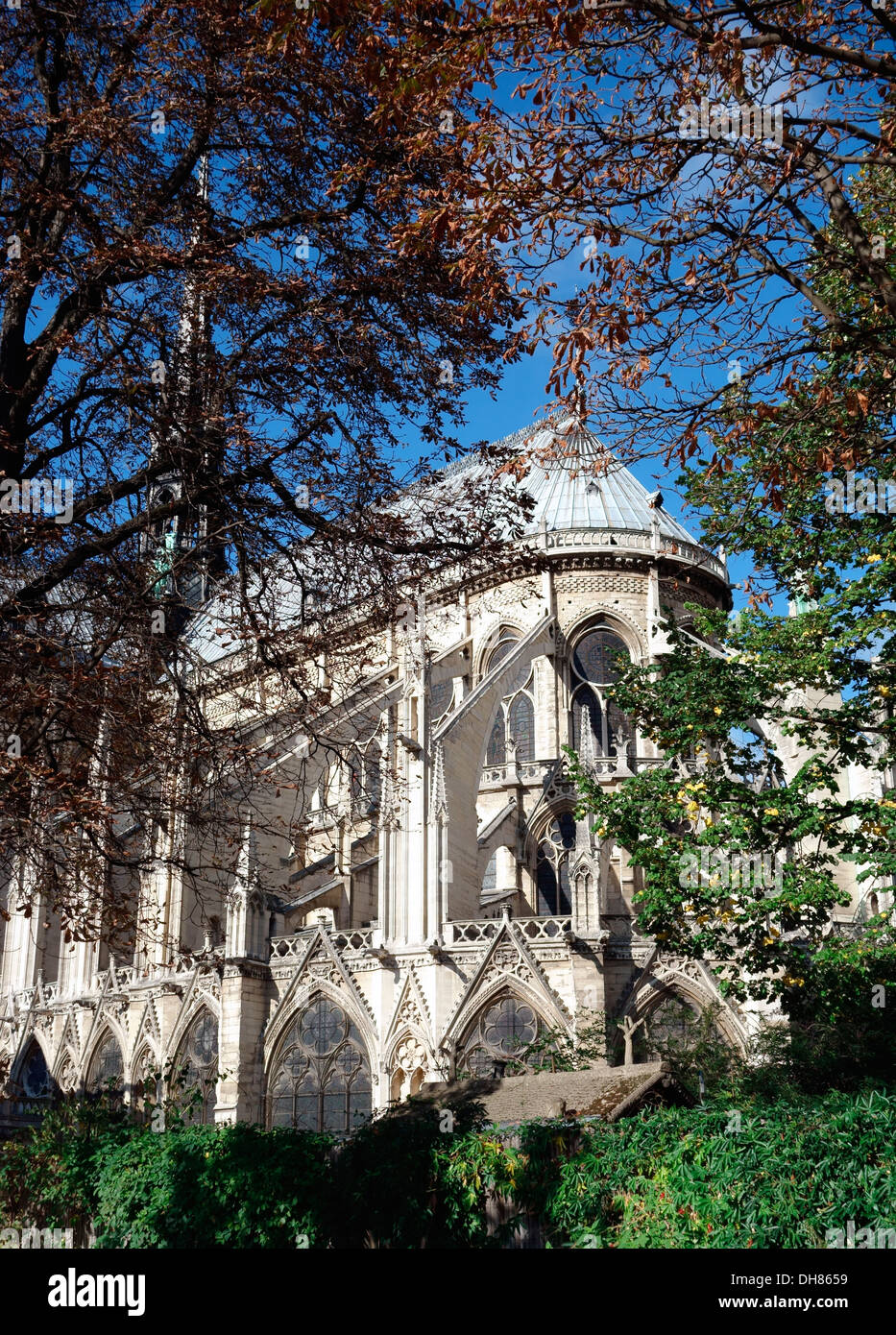 La Cathédrale Notre Dame Paris à travers des arbres en automne Banque D'Images