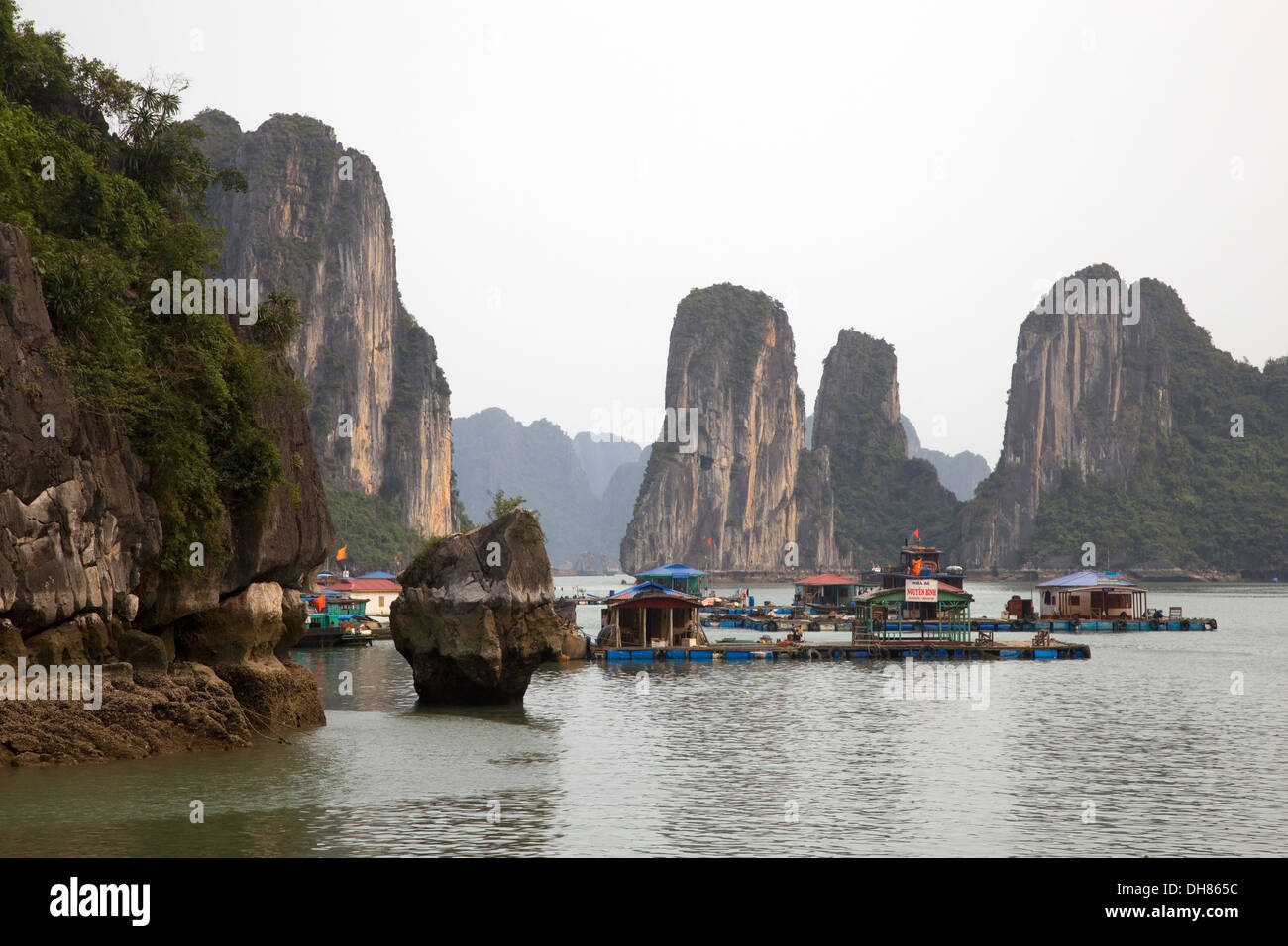 Avis de certaines des îles de karsts calcaire qui forme la baie d'Halong, Vietnam. Banque D'Images