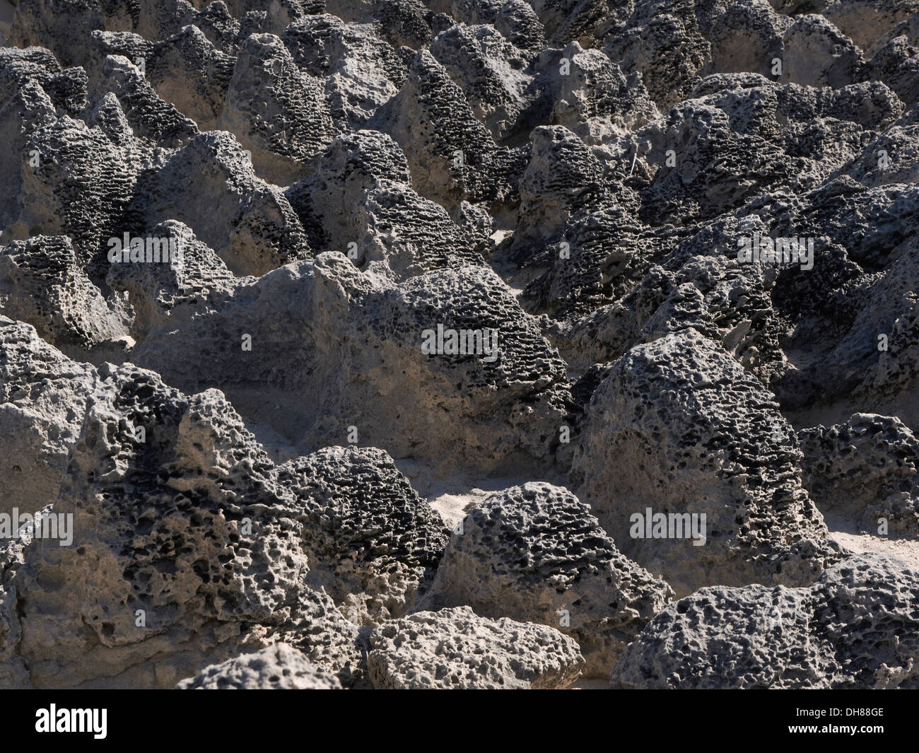 Exposés sur les roches volcaniques de l'ouest Rottnest Island, Australie Banque D'Images