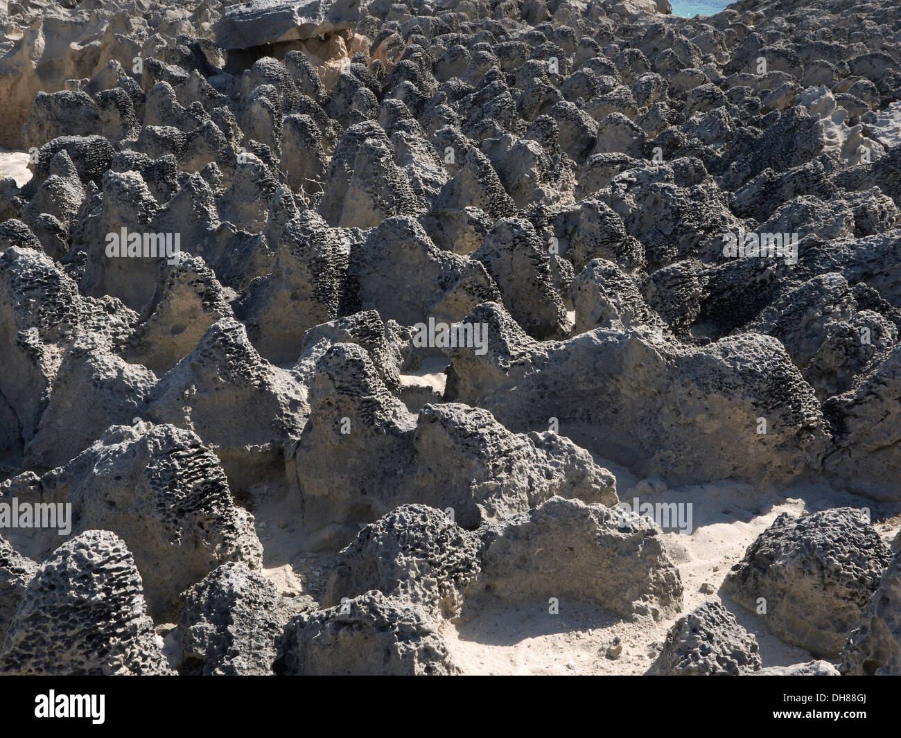 Exposés sur les roches volcaniques de l'ouest Rottnest Island, Australie Banque D'Images