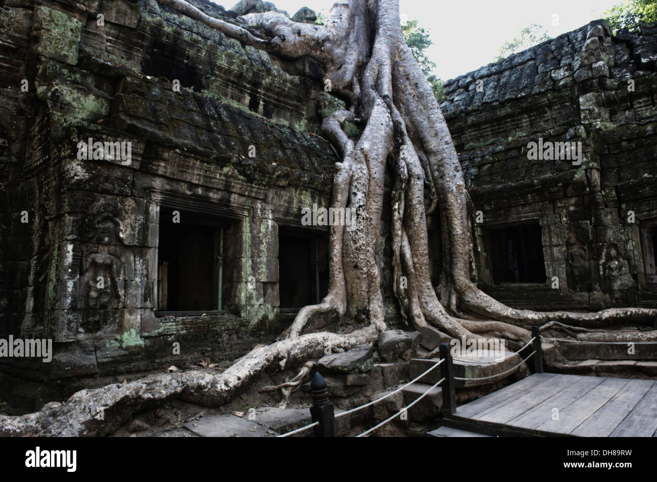 Également mangeuses d'arbres l'ensemble du temple de Ta Prohm, Ta Prohm, Siem Reap, la Province de Siem Reap, Cambodge Banque D'Images