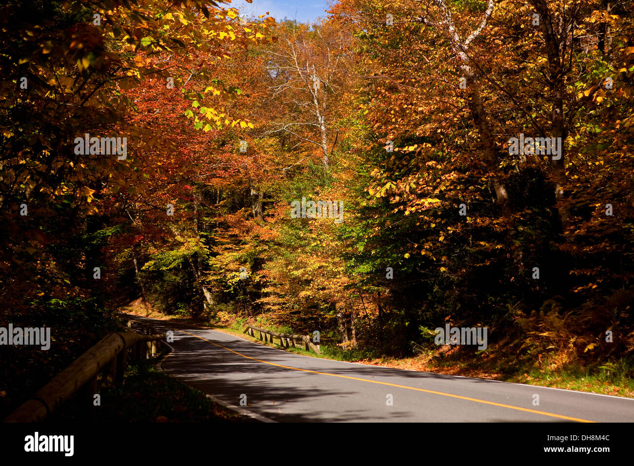 Une route sinueuse menant à Mount Greylock sommet est entouré d'arbres colorés dans le comté de Berkshire, Massachusetts Banque D'Images