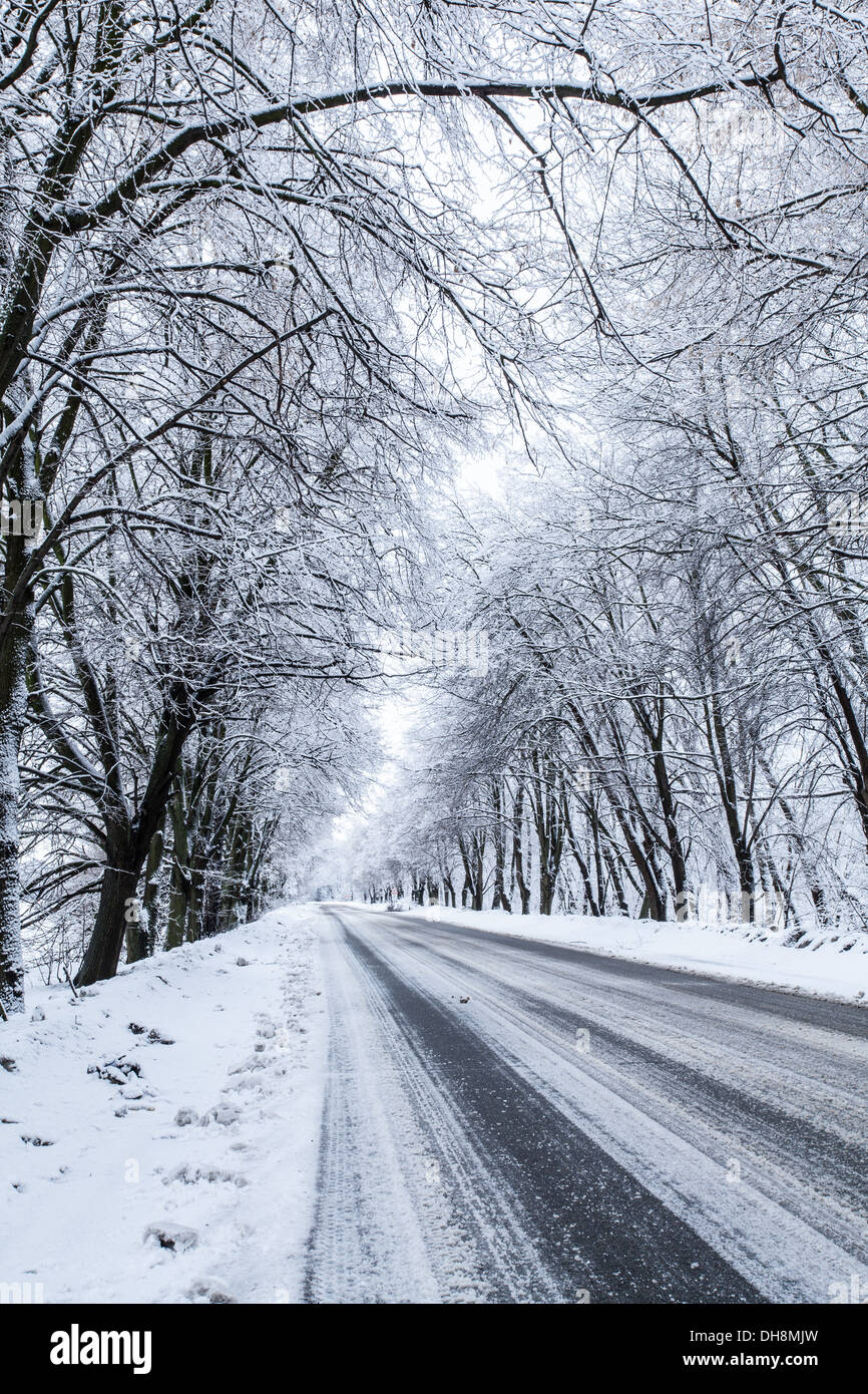 Pays snow road. Arbres au bord de la route couverte de neige. La perspective. Banque D'Images