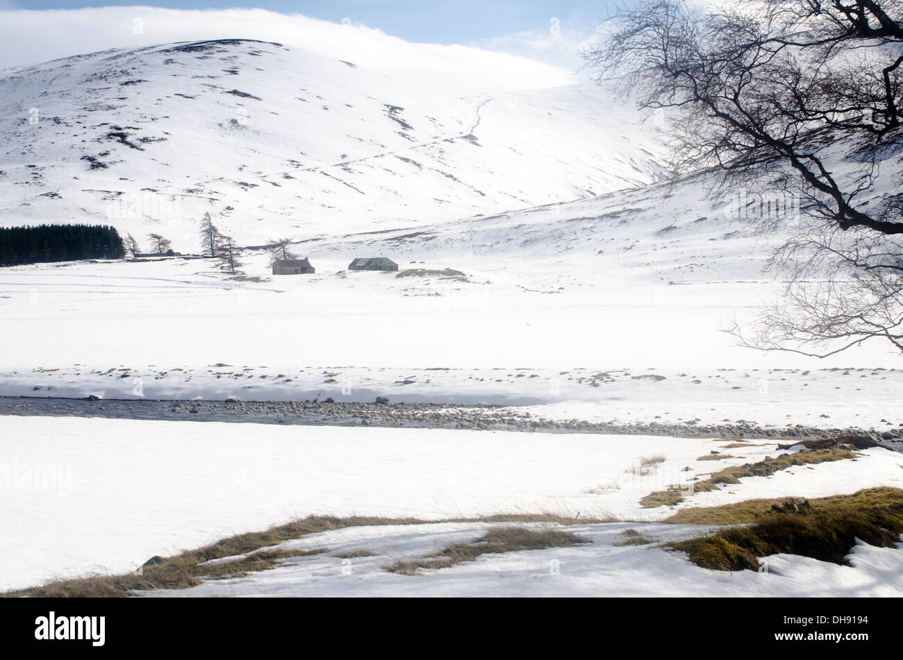 Vue de ferme en hiver. Banque D'Images