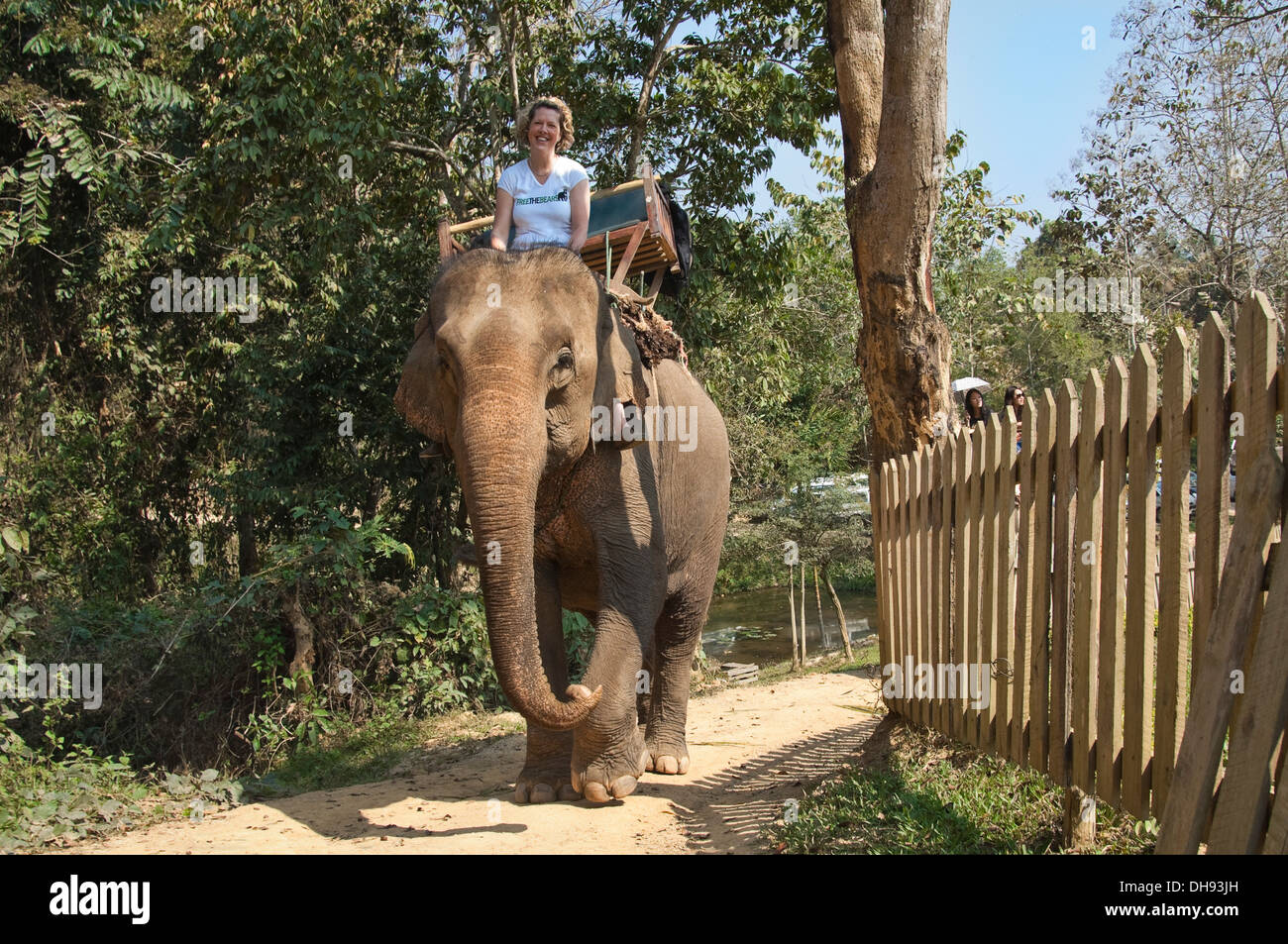 Close up horizontale d'un touriste sur une excursion à dos d'éléphant au Laos. Banque D'Images